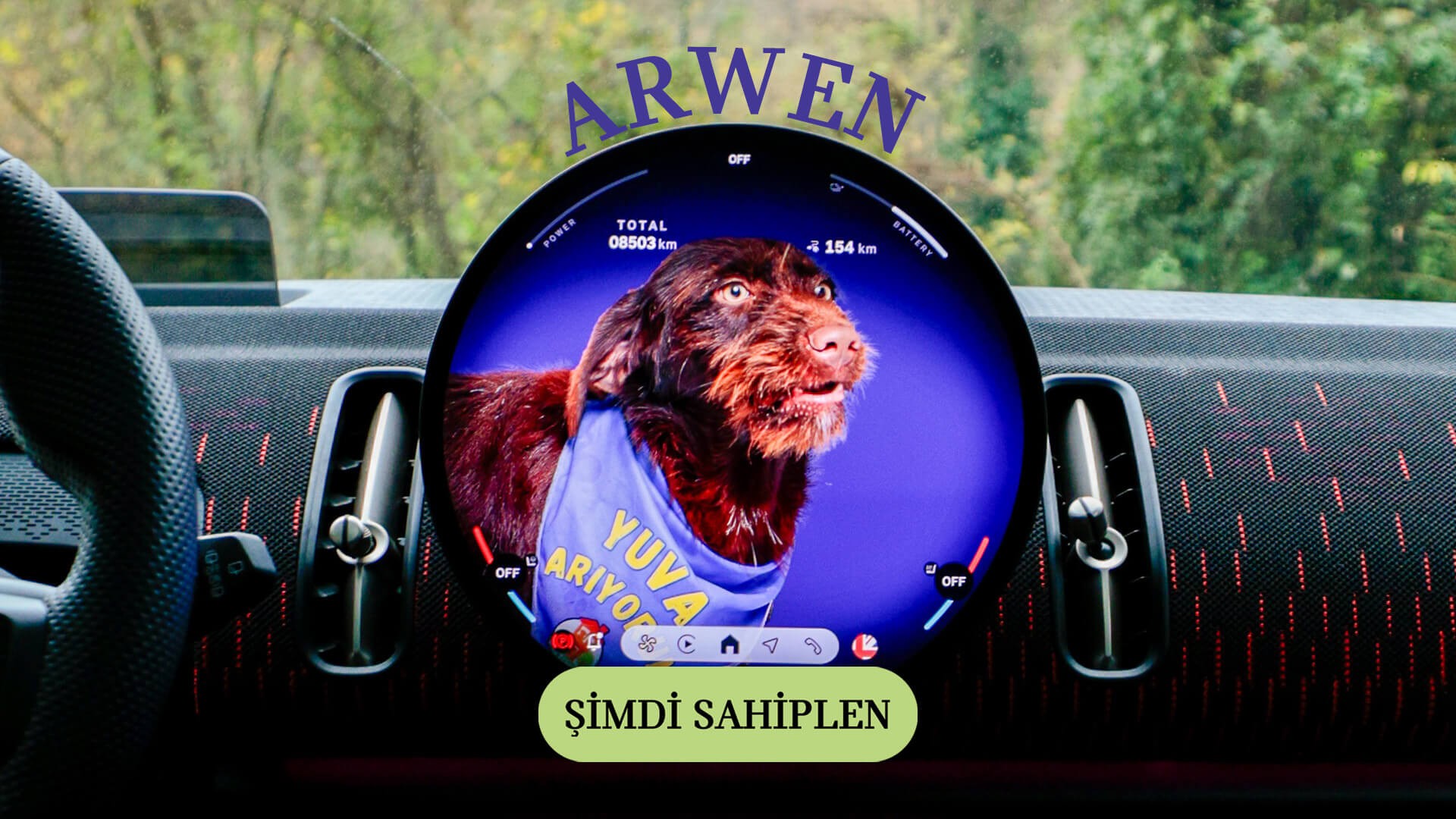 MINI Pati | MINI Türkiye